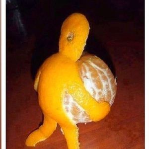 Meet your Posher, Madelin